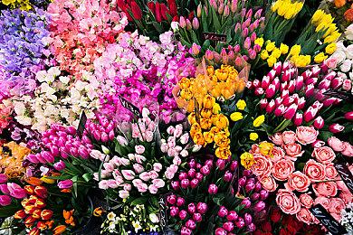 《堡垒之夜》将推出《生化危机》里昂、克莱尔联动皮肤